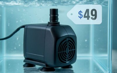 Catch the submersible pump 75w price: top picks for reliable, efficient performance.